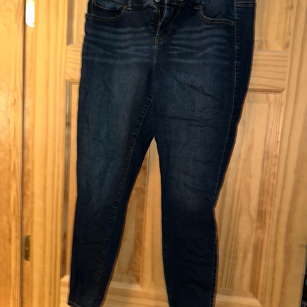 Torrid Blue Skinny Jeggings